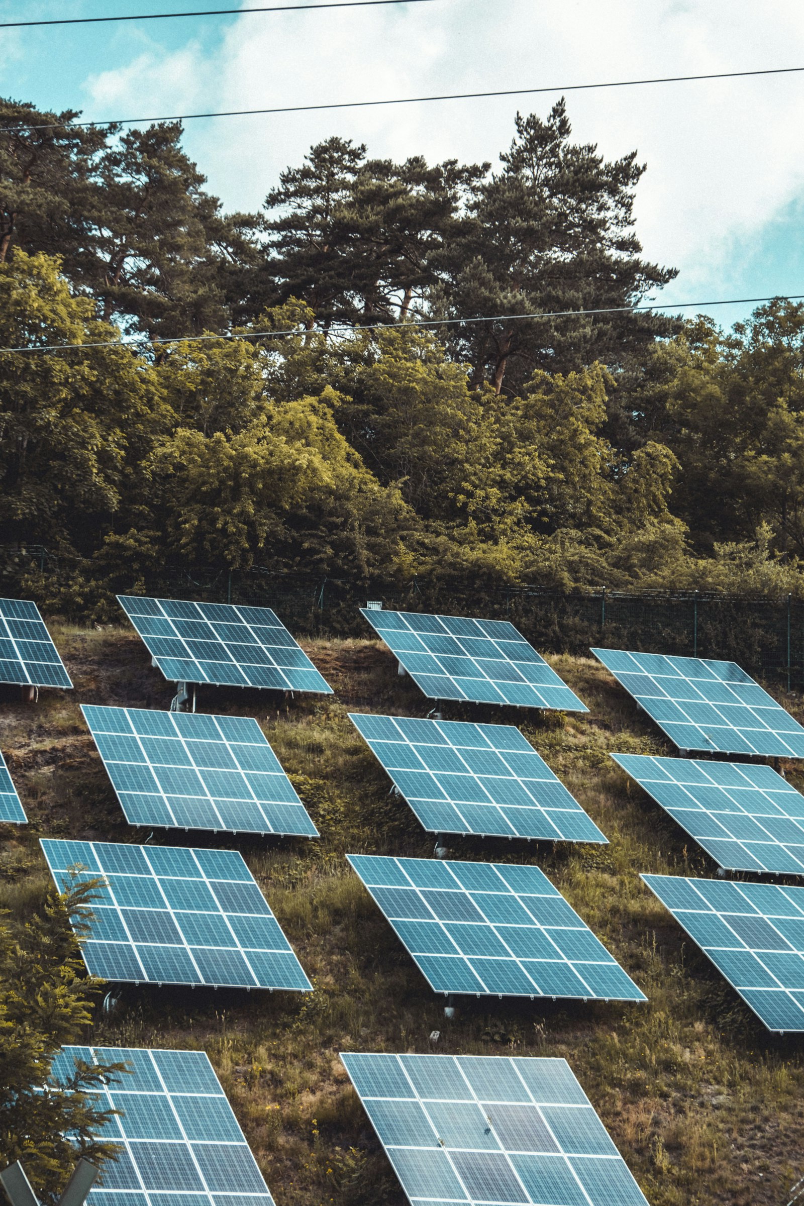 Luftaufnahme von Photovoltaik-Modulen zwischen Bäumen und Grünflächen