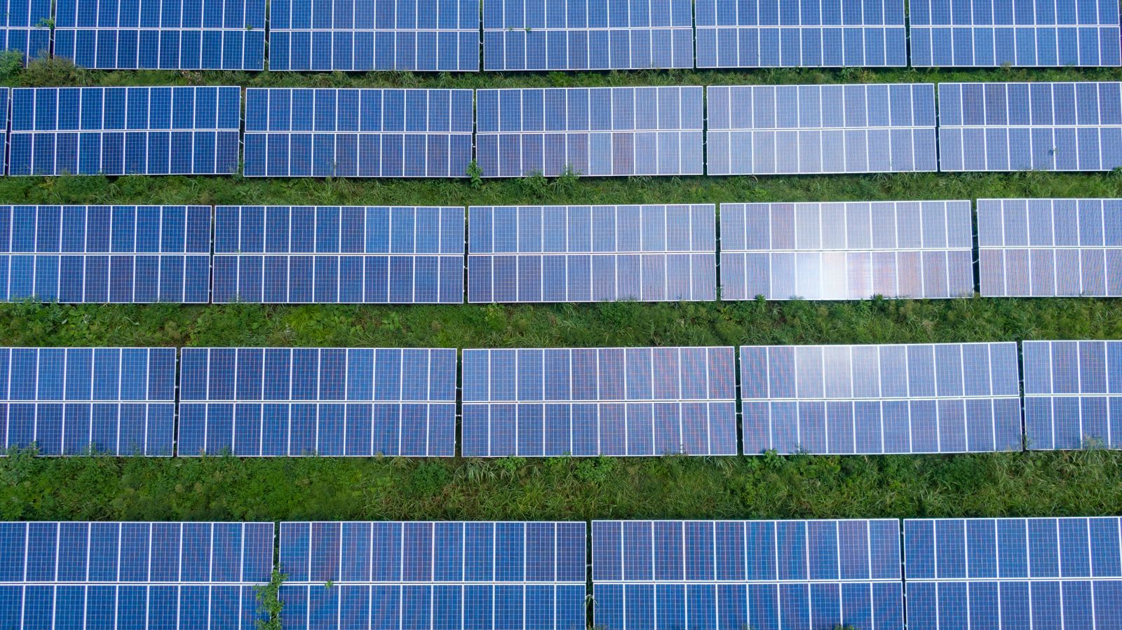 Drohnenaufnahme von Solarmodul-Reihen auf einer grünen Freifläche